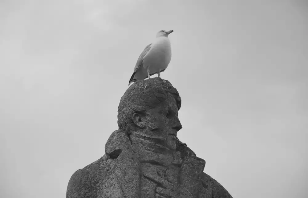 René