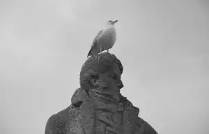 René