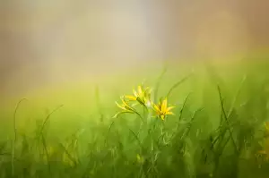 Stříbrný Řetízek S Přívěskem