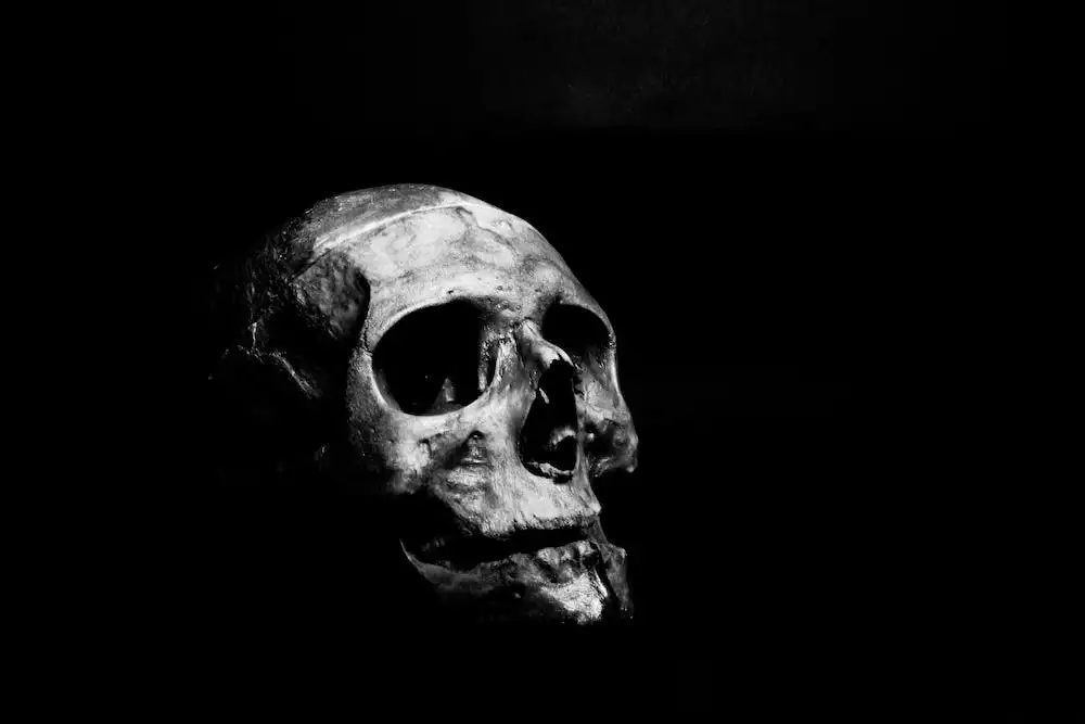 Skull