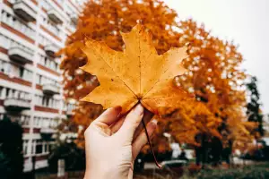Dámská Podzimní Bunda